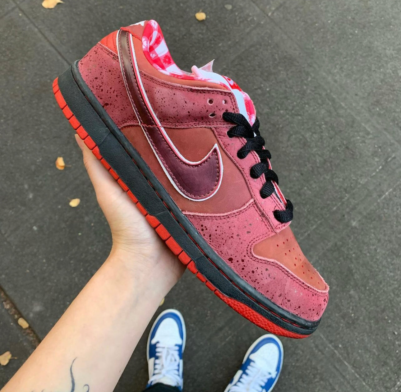 Concepts x Dunk Low “ Red Lobster “