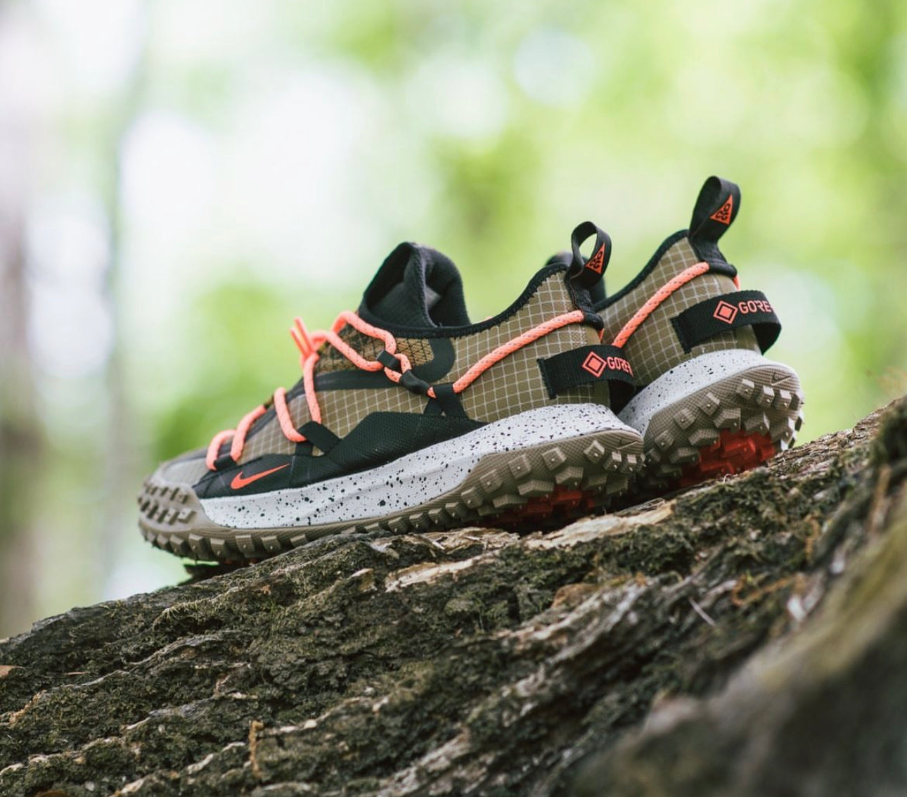 ACG Moutain Fly Low GTX “ Hazel Rush “