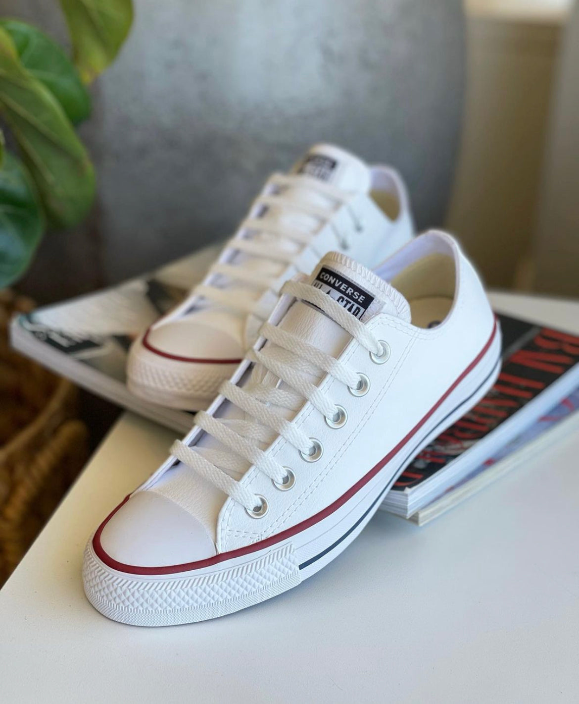 WMNs Converse All Star Low Ankle “White”