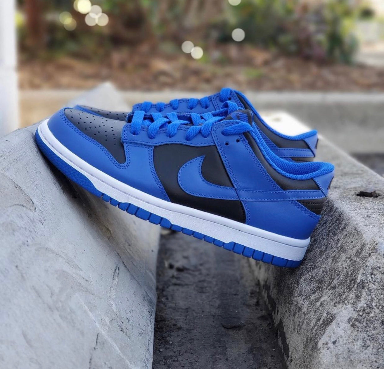 Dunk Low “ Hyper Cobalt “