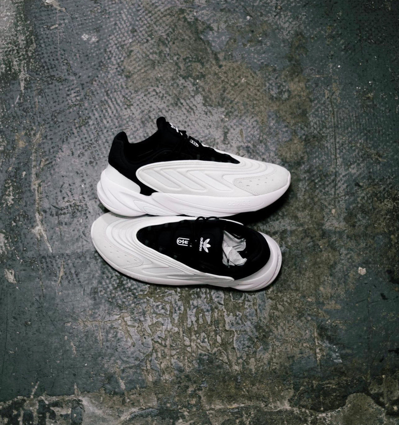 Ozelia Trainer “ White / Core / Black “