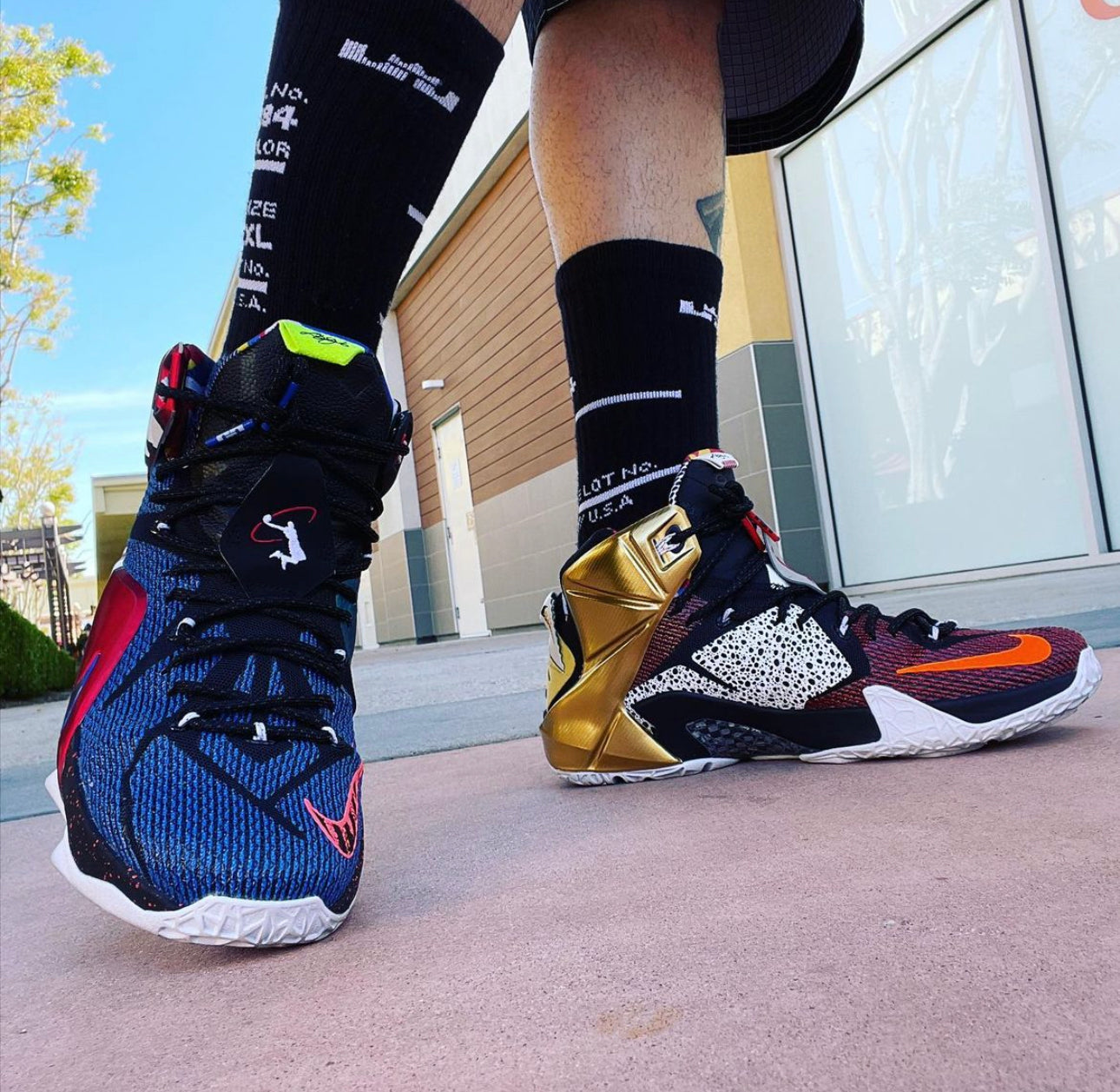 LeBron 12 “ What The Lebron “