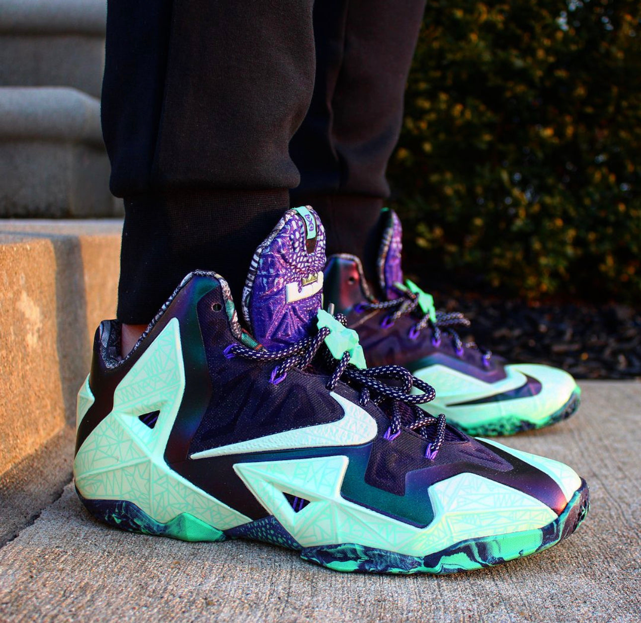 LeBron 11 “ Gator King ”