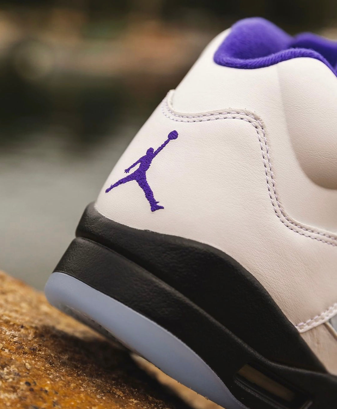 Air Jordan 5 “ Dark Concord “