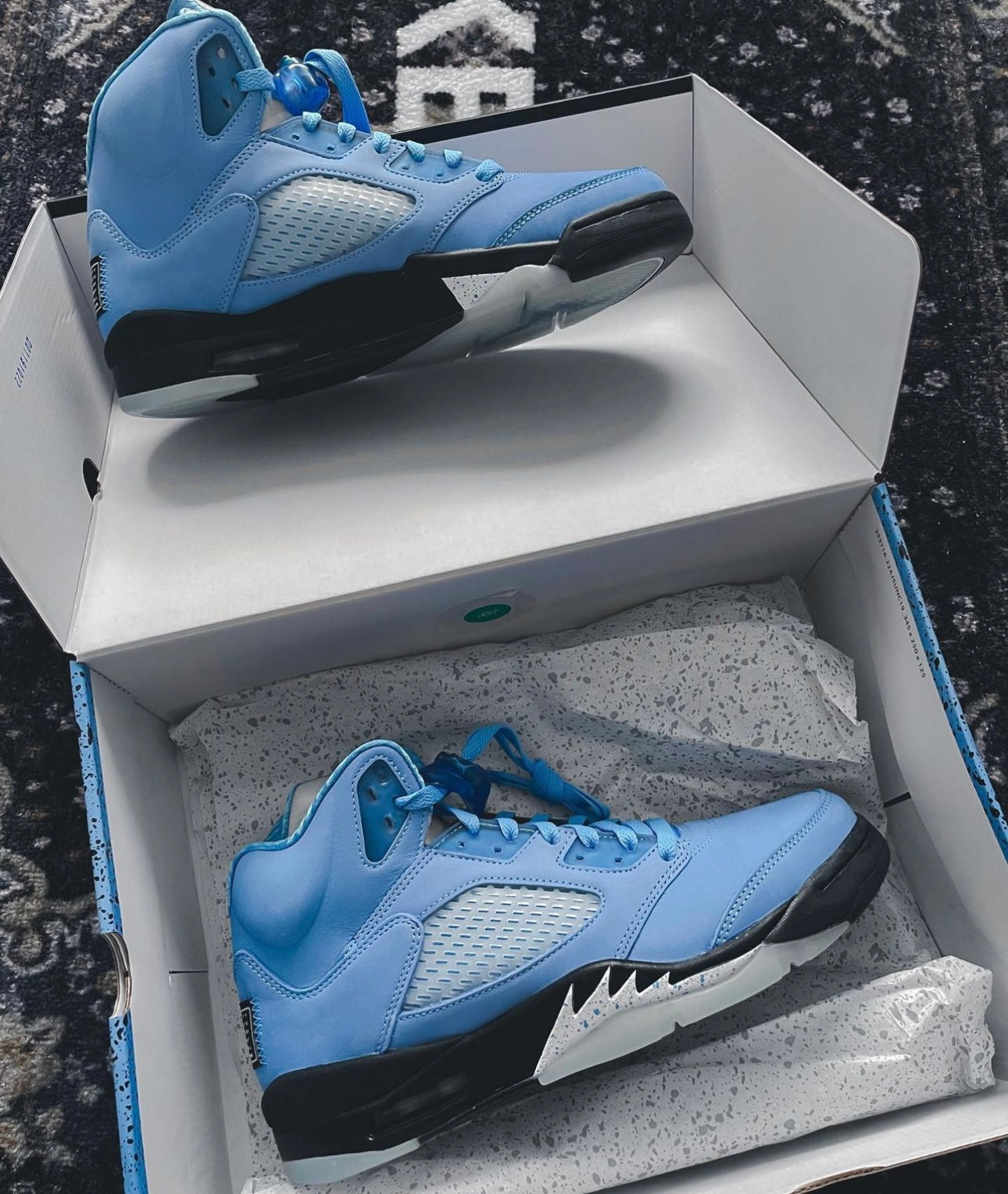 Air Jordan 5 SE “UNC”