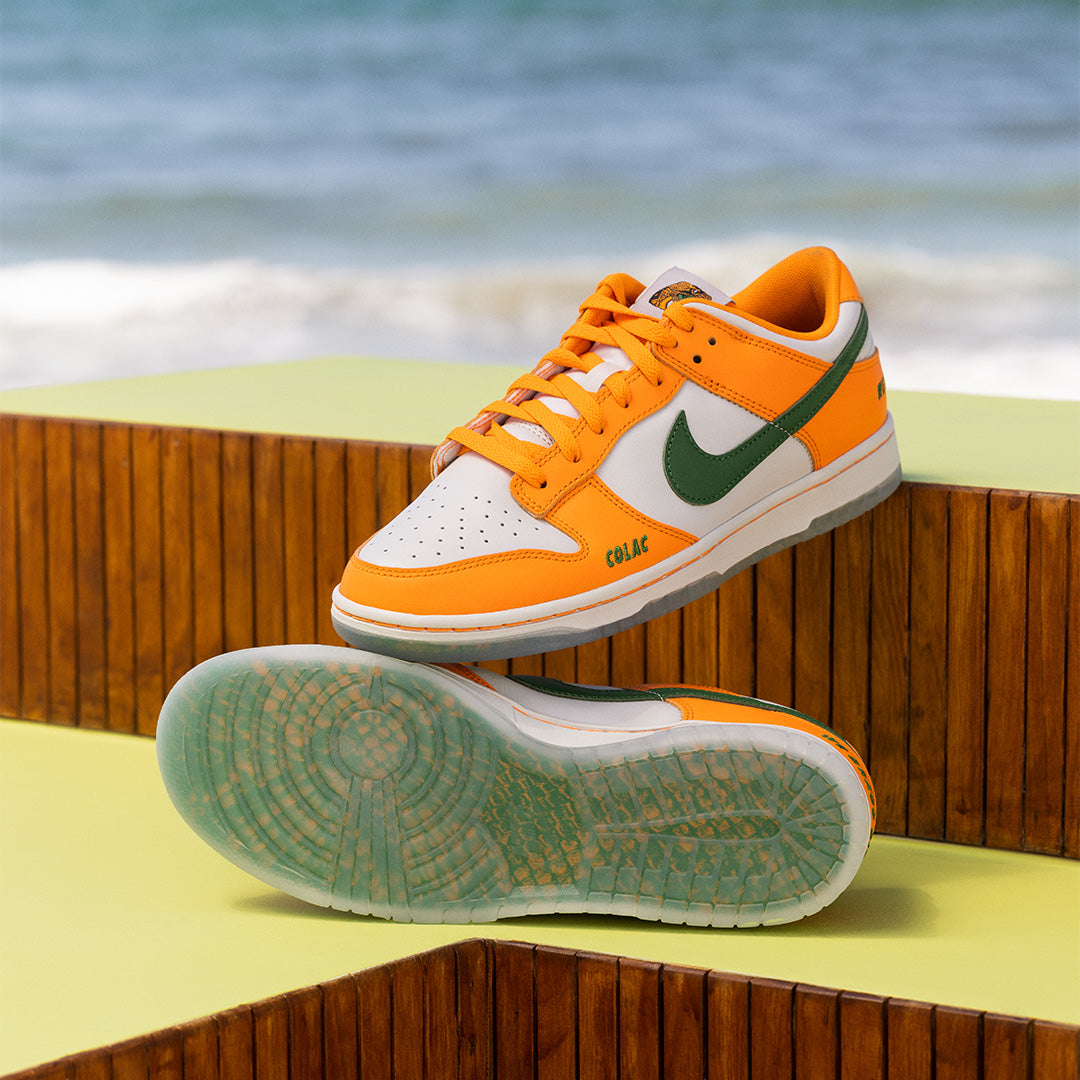 Dunk Low “ Florida A&M “