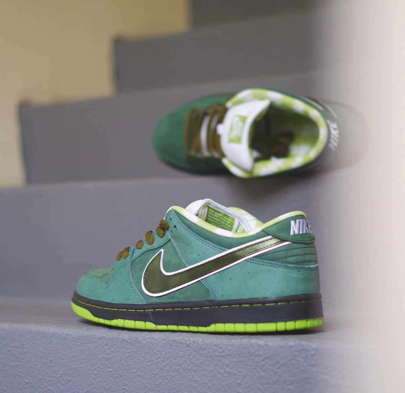 Concepts X Dunk Low “ Green Lobster “