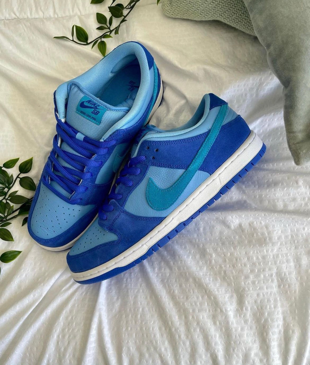 Dunk Low “ Blue Raspberry “