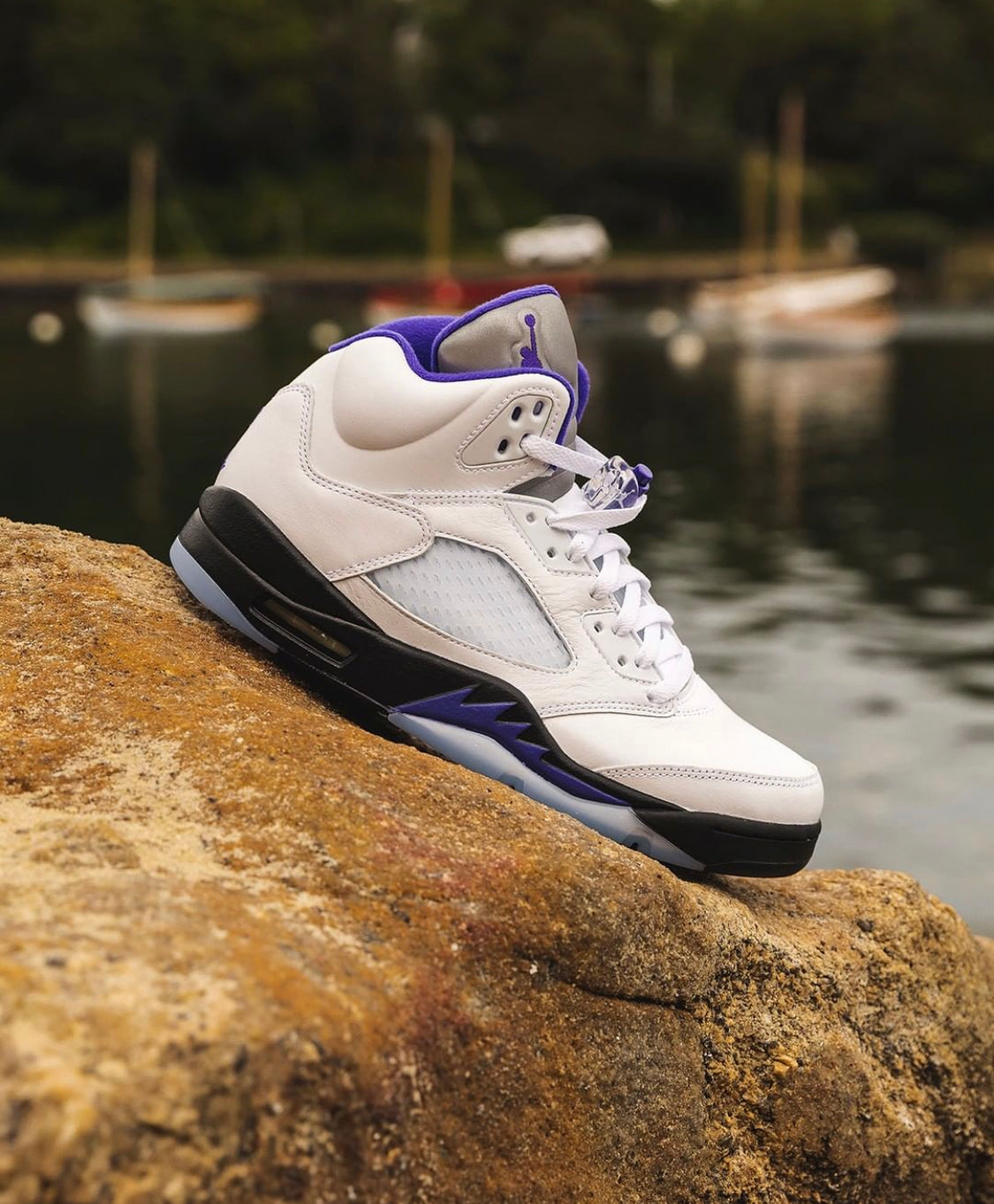 Air Jordan 5 “ Dark Concord “