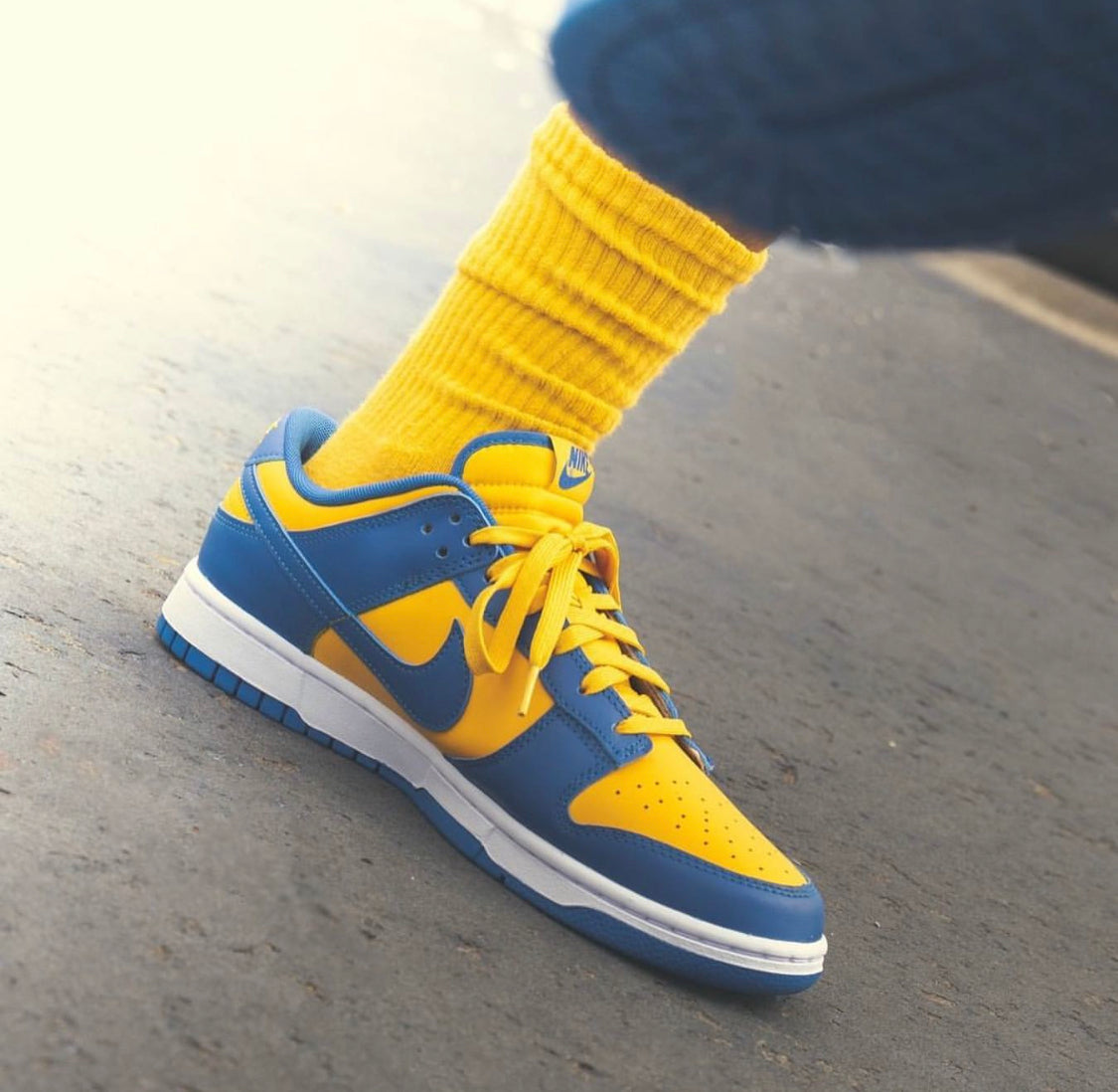 Dunk Low “ UCLA “