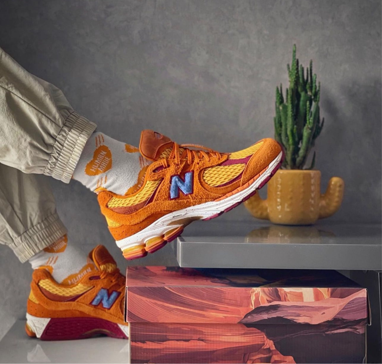 Salehe Bembury X New Balance 2002r “ Peace Be The Journey “