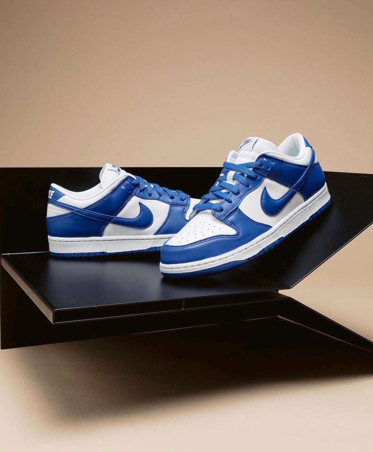 Dunk Low “ Kentucky “