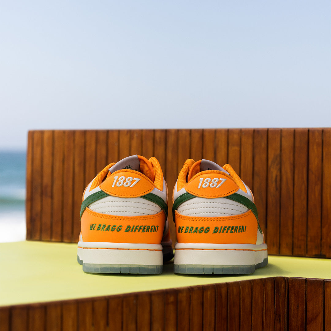 Dunk Low “ Florida A&M “